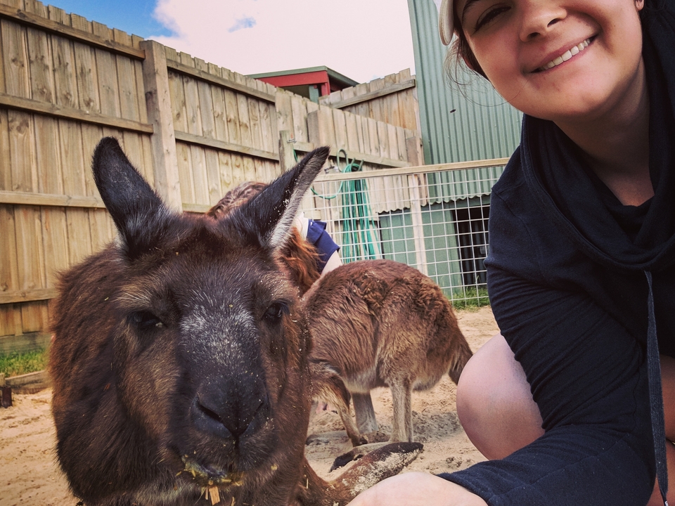 Person taking a selfie with a kangaroo.