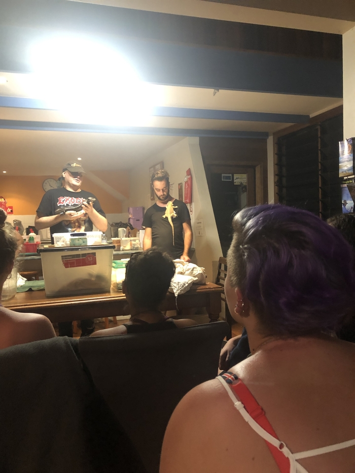 Indoor group event with a person holding a reptile.