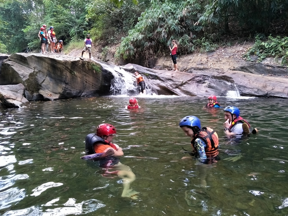 People swimming in a natural pool with a waterfall.