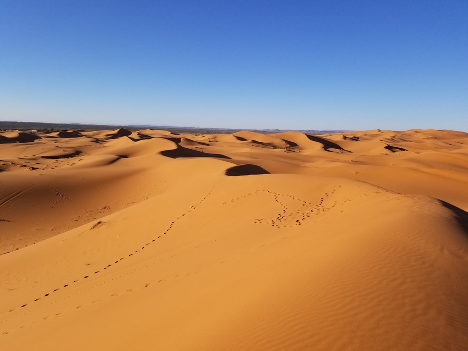 Expansive view of desert dunes under a clear blue sky.