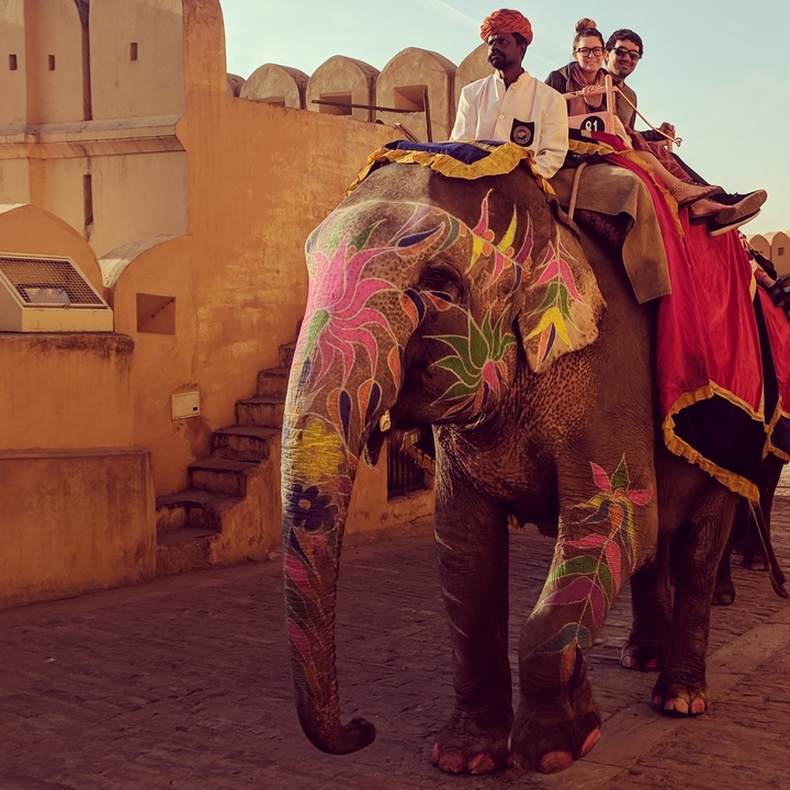 Elephant with colorful painted decorations.