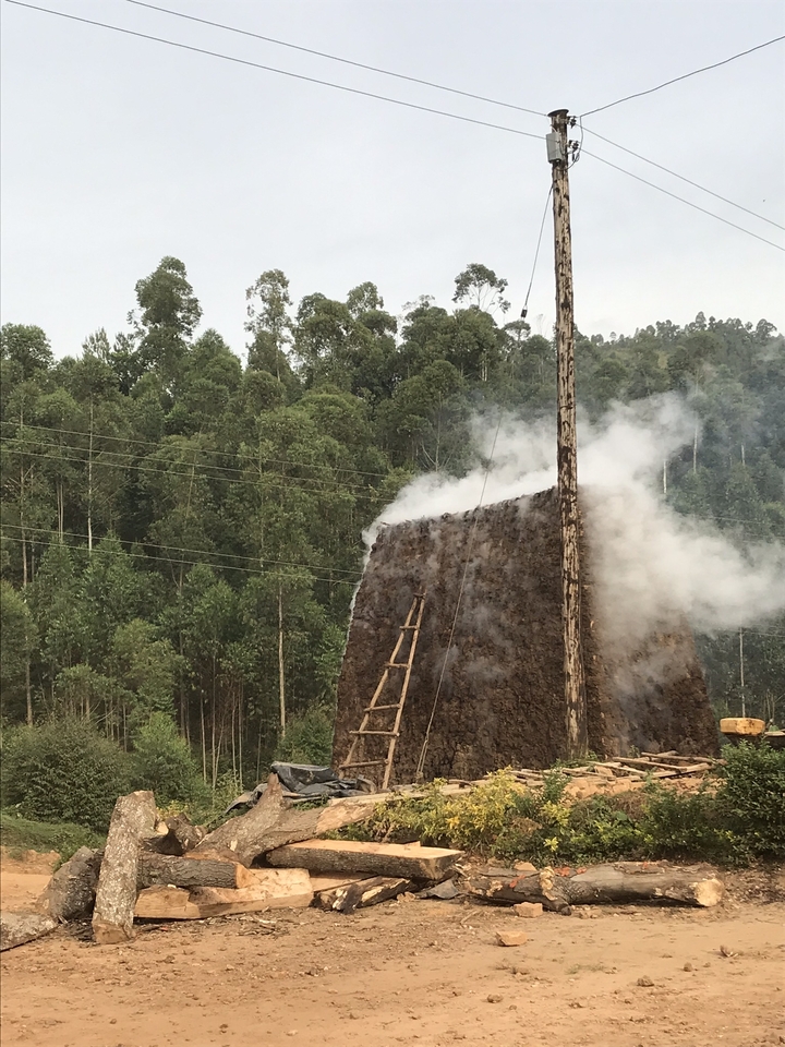 Fumoir traditionnel émettant de la fumée dans un cadre forestier.
