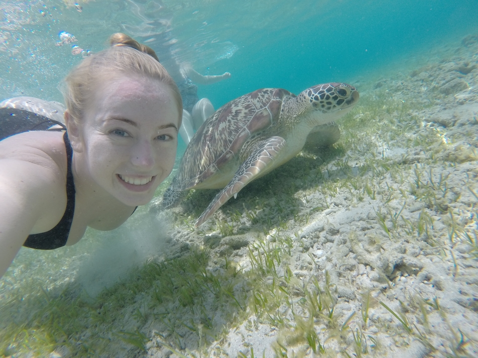 Person swimming underwater with a sea turtle.