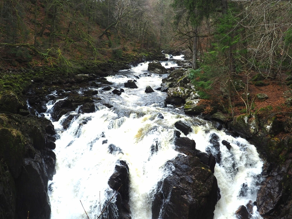 River with rapids flowing between rocks.