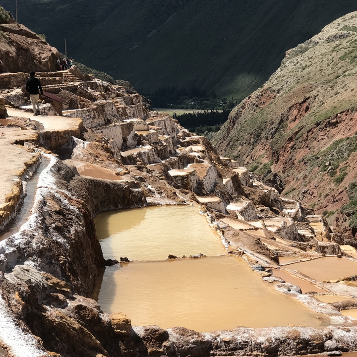 Person taking a photo overlooking Machu Picchu.