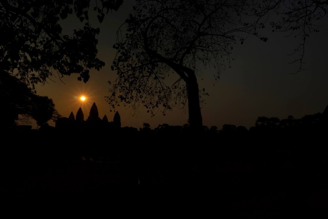 Silhouette d'arbre et d'Angkor Vat au coucher du soleil.
