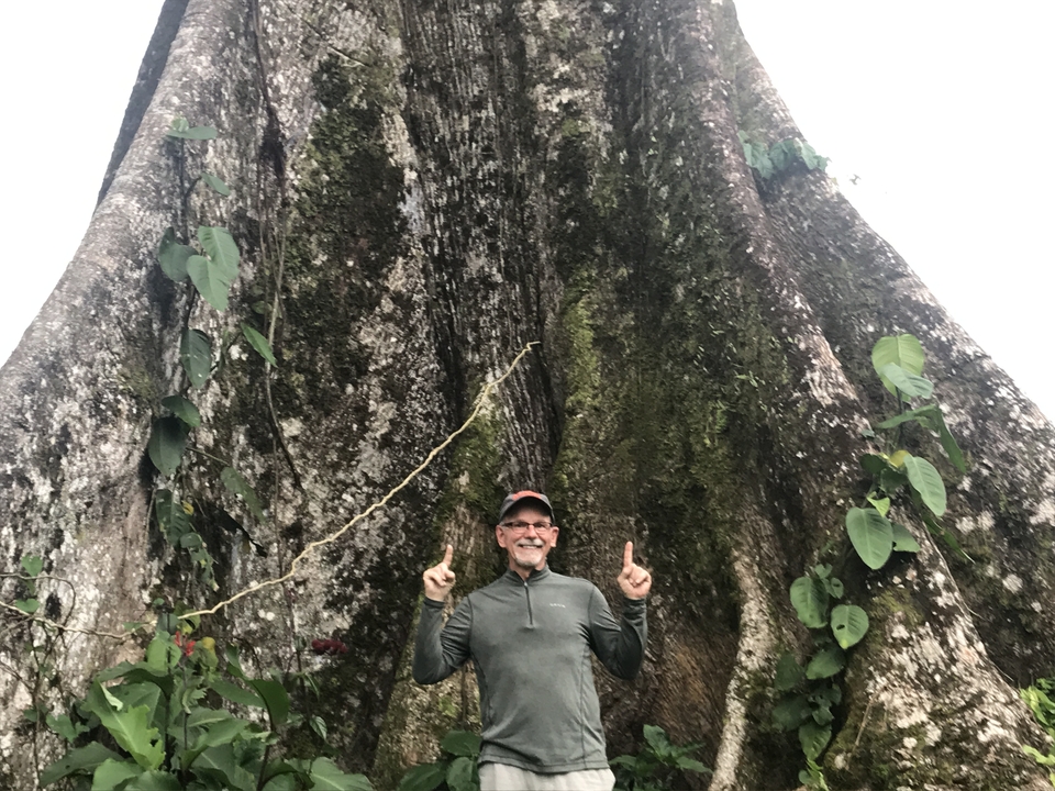 Man standing in front of a giant tree trunk in a forest.