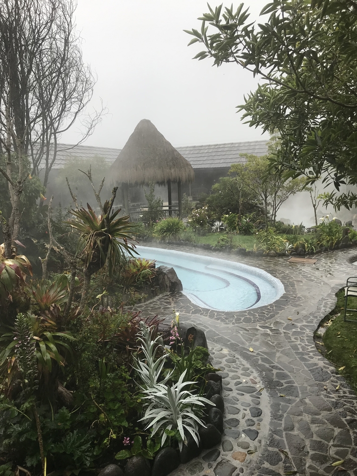 A small natural hot spring pool surrounded by greenery and a thatched roof structure.