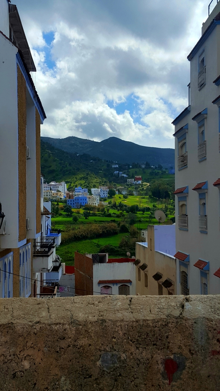 Scenic view from a hillside overlooking a small town with greenery.