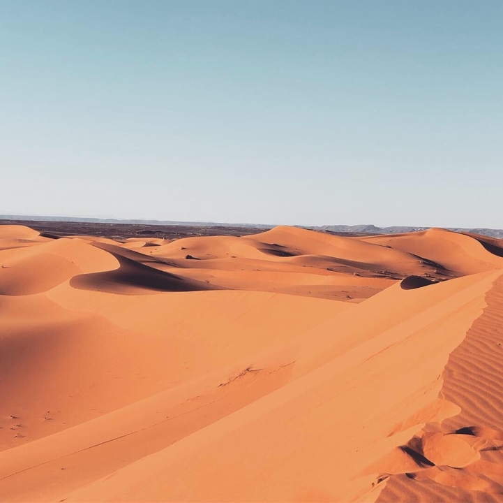 Vast desert landscape with sand dunes under a clear sky.