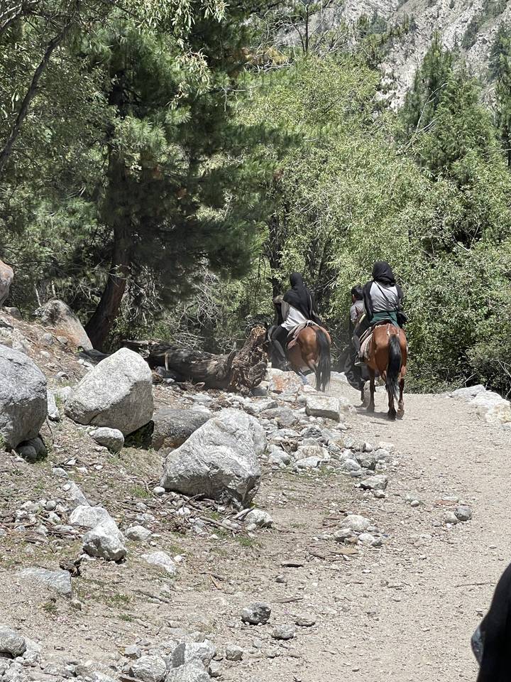 People riding horses on a dirt trail surrounded by trees.
