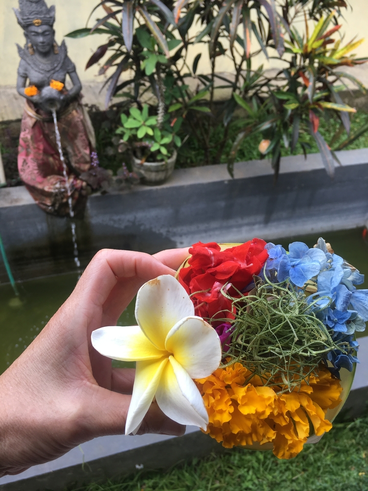 Hand holding a bowl of colorful flowers by a water feature.