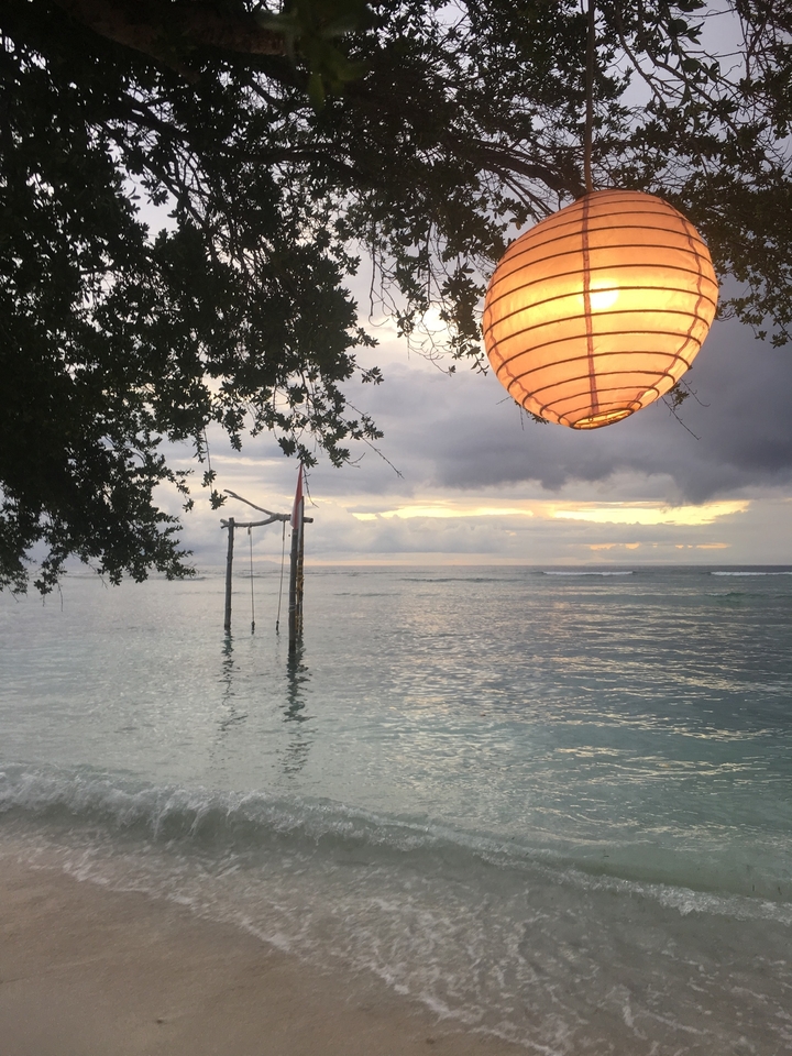 Peaceful beach scene with a swing over the ocean at sunset.