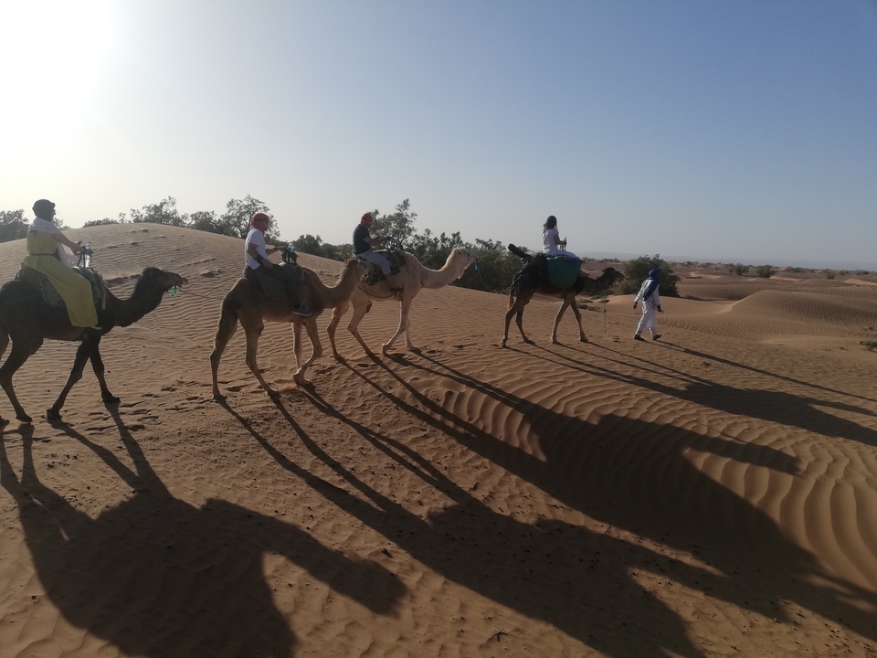 People riding camels through the desert.