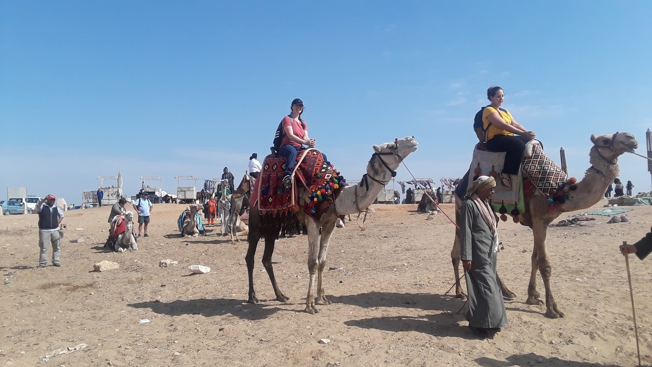 Tourists on camels with a desert landscape and structures in background.