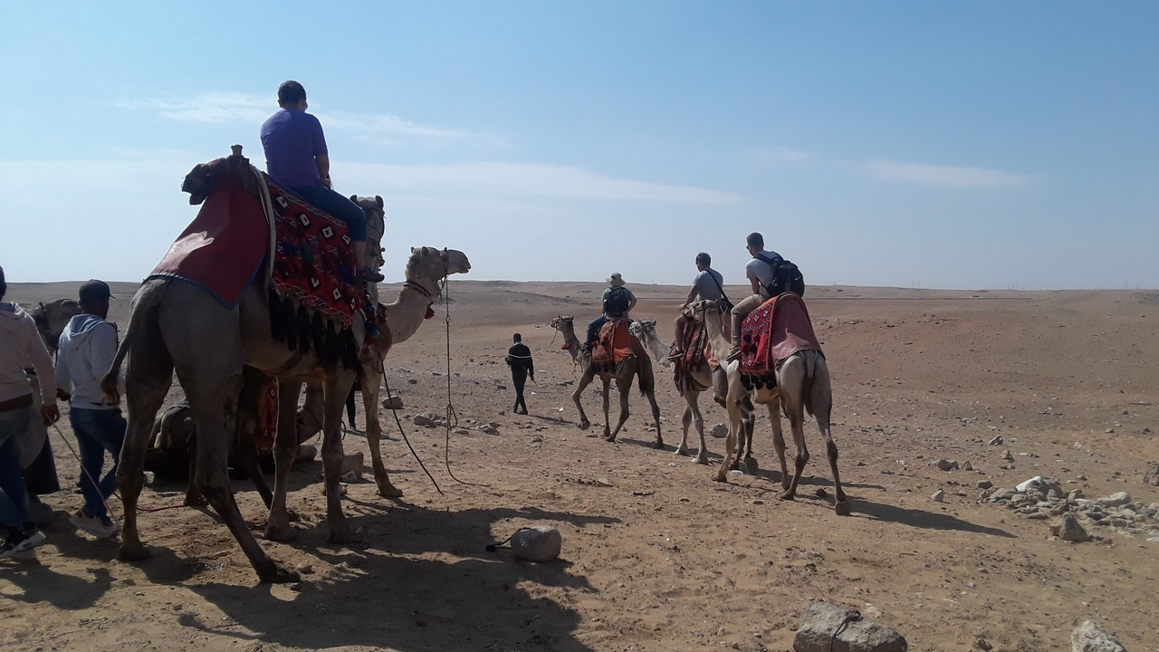 Group of people riding camels in a desert landscape.