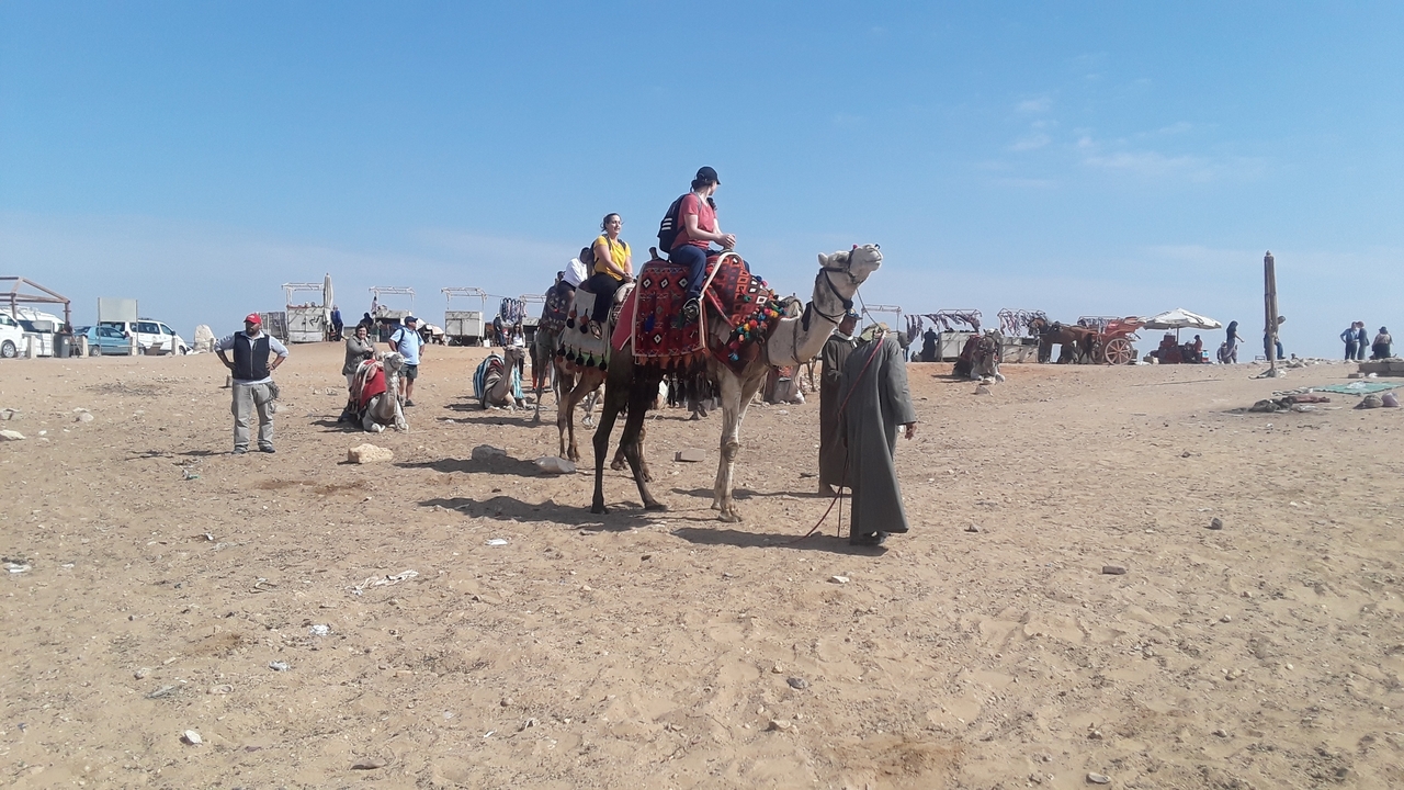 Tourists riding camels in a desert area with clear skies.