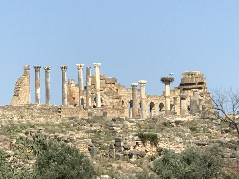 Roman ruins with columns and stork nest.