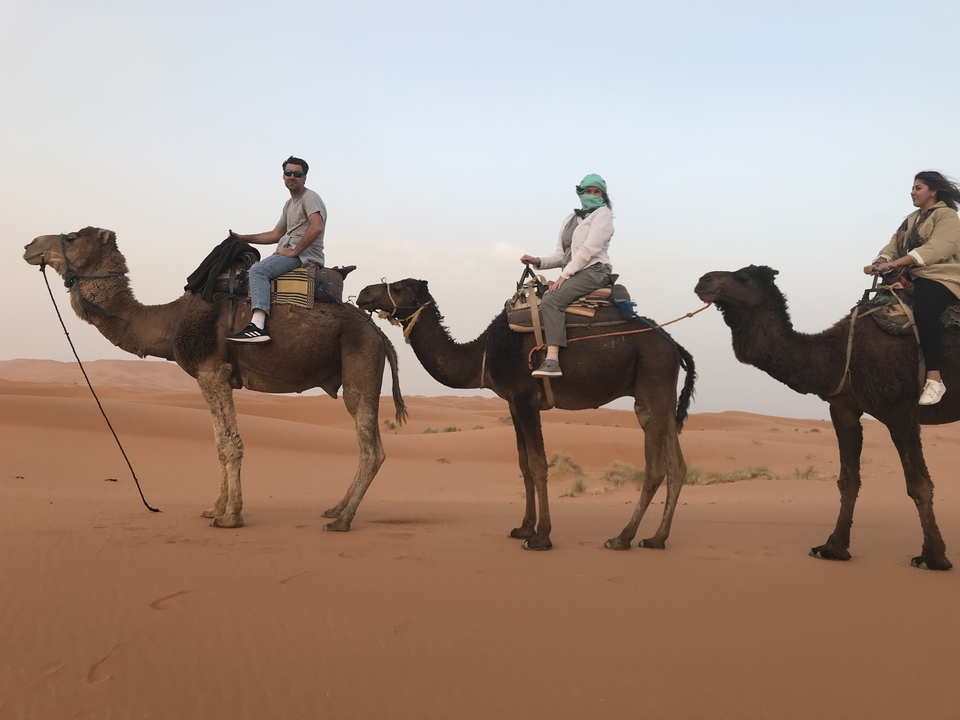 People riding camels across a desert landscape.
