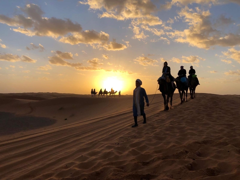 Camel caravan at sunset on sand dunes.