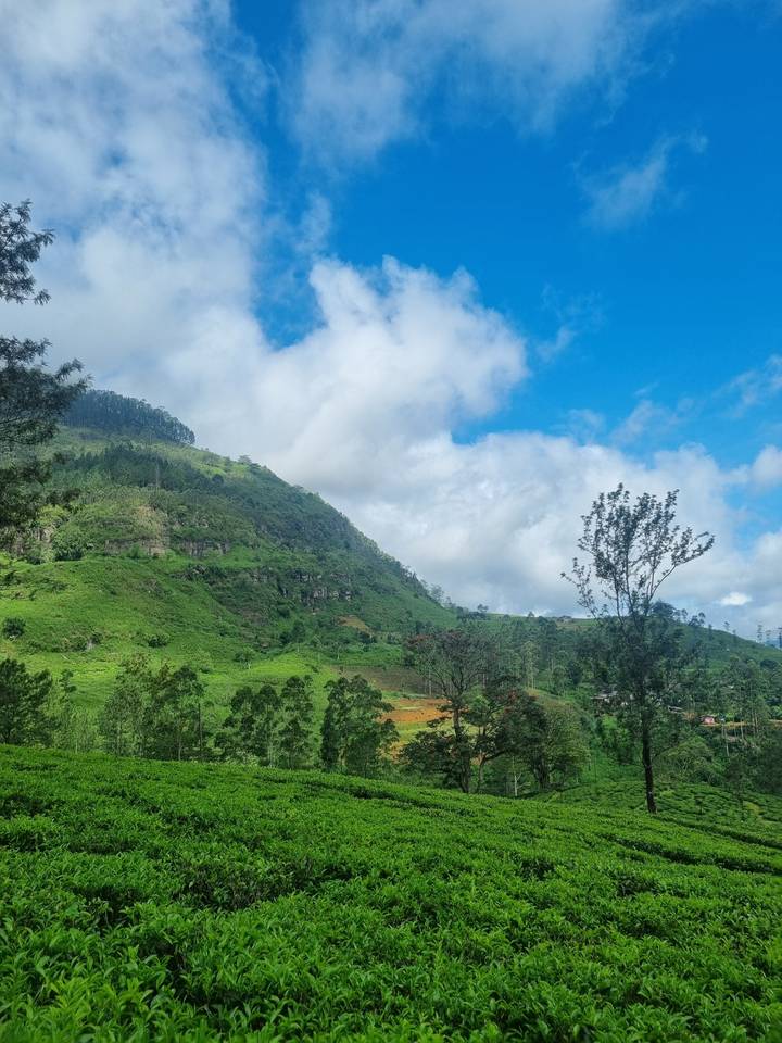 Lush green mountain with scattered clouds.