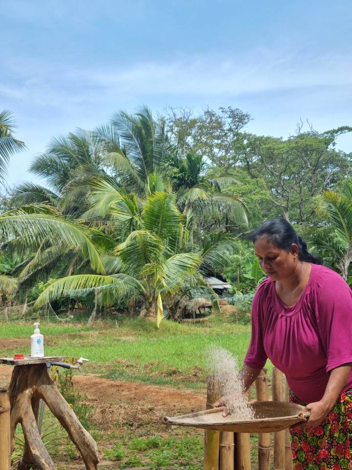 Person winnowing grain with palm trees in the background.