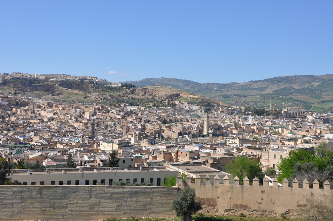 Panoramic view of a city with historic architecture