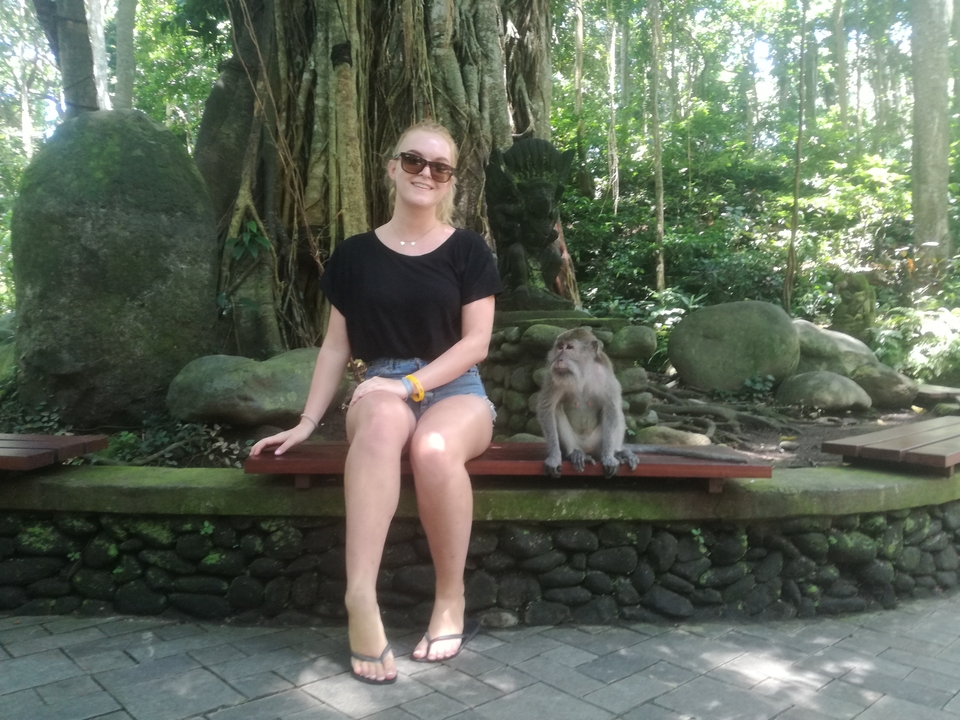 A person sitting with a monkey in a lush, green setting.
