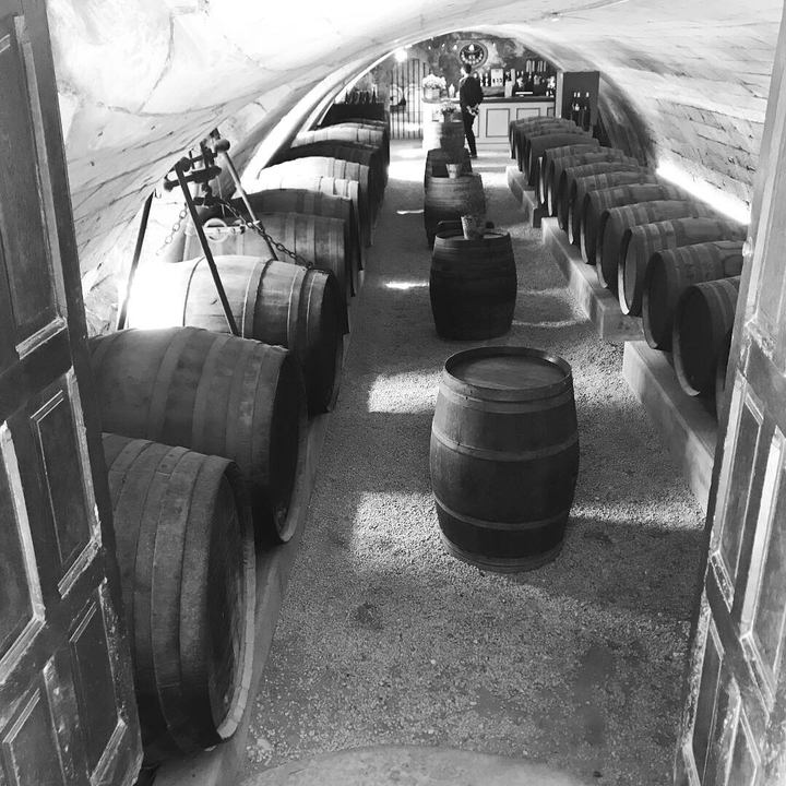 Cave à vin avec de grands tonneaux en bois.