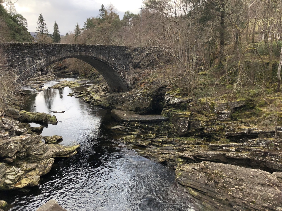Stone bridge over a river in a forest.