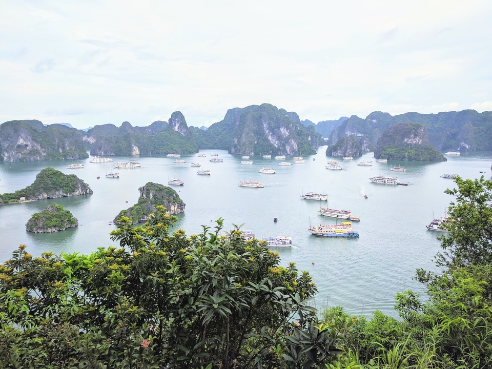 Scenic view of Halong Bay with numerous boats and limestone formations.