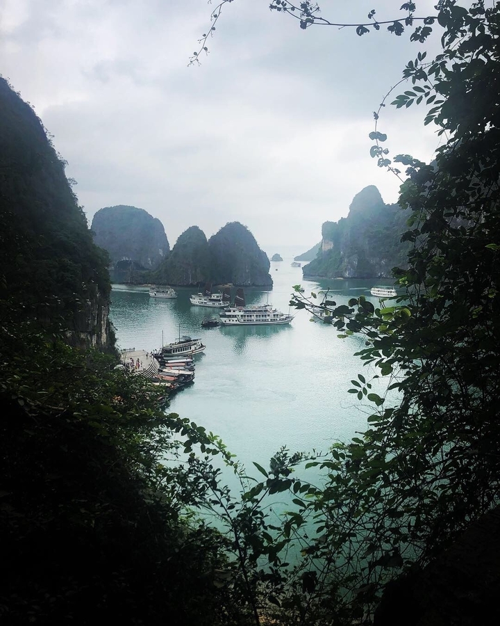 Groups of boats in a scenic bay surrounded by tall, green limestone islets.