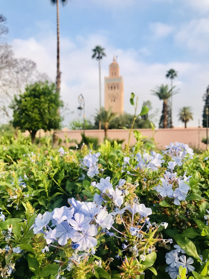 View of a mosque surrounded by lush gardens.