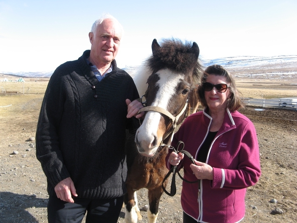 Couple posing with a horse in an open field.