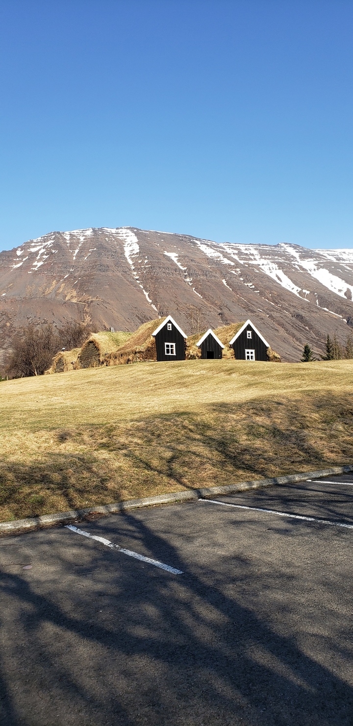 Traditional turf houses on a hillside with a snowy backdrop.