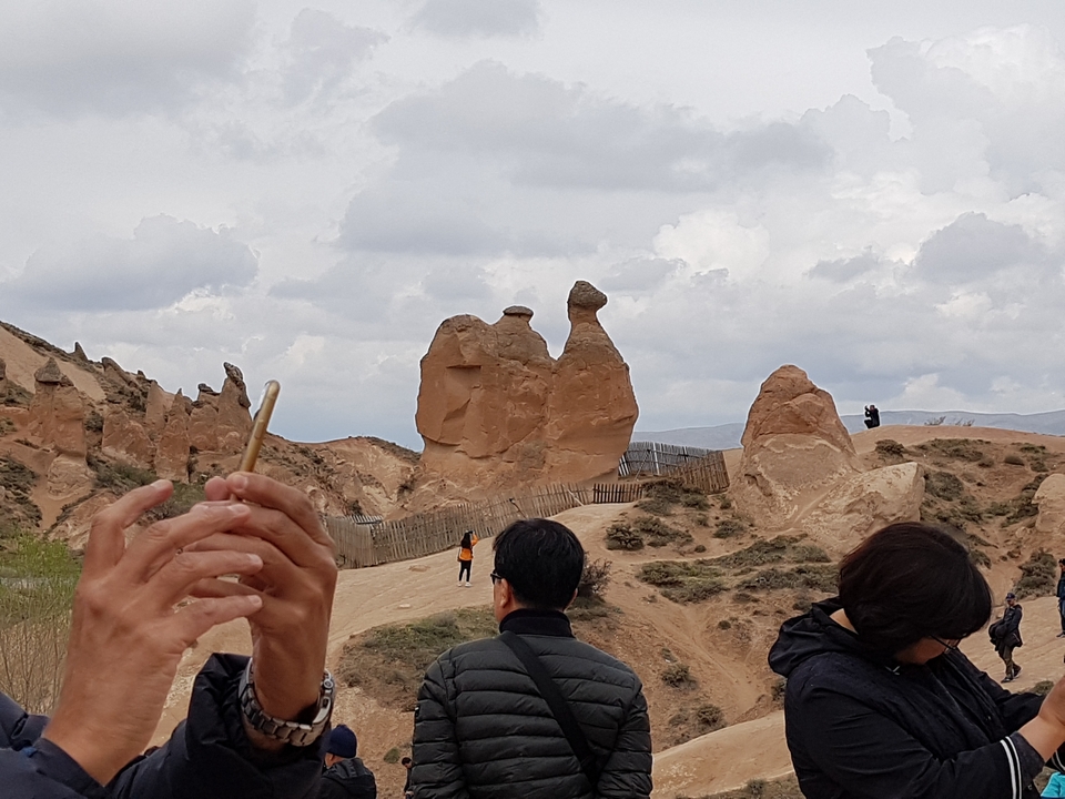 Des formations rocheuses uniques dans un paysage désertique.