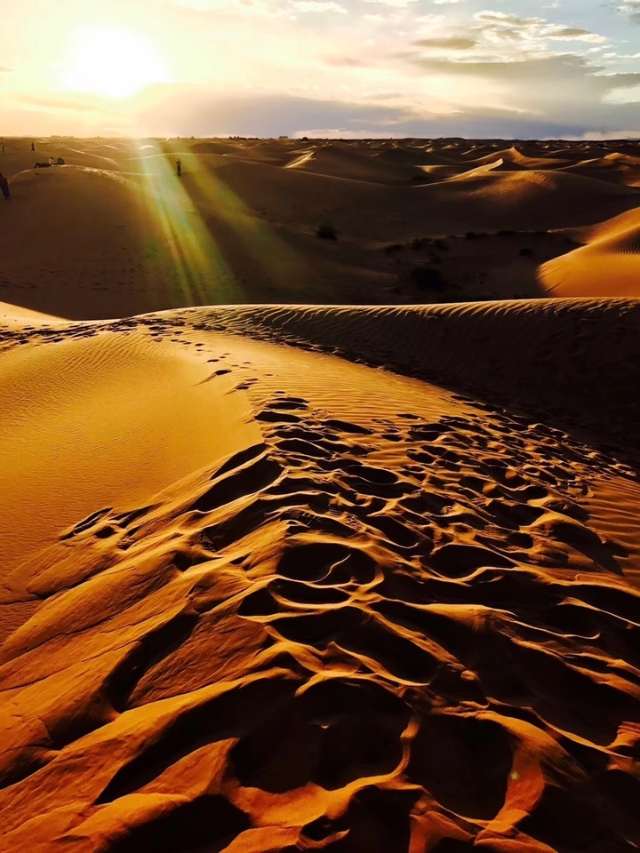 Patterns and footprints in the golden sand dunes