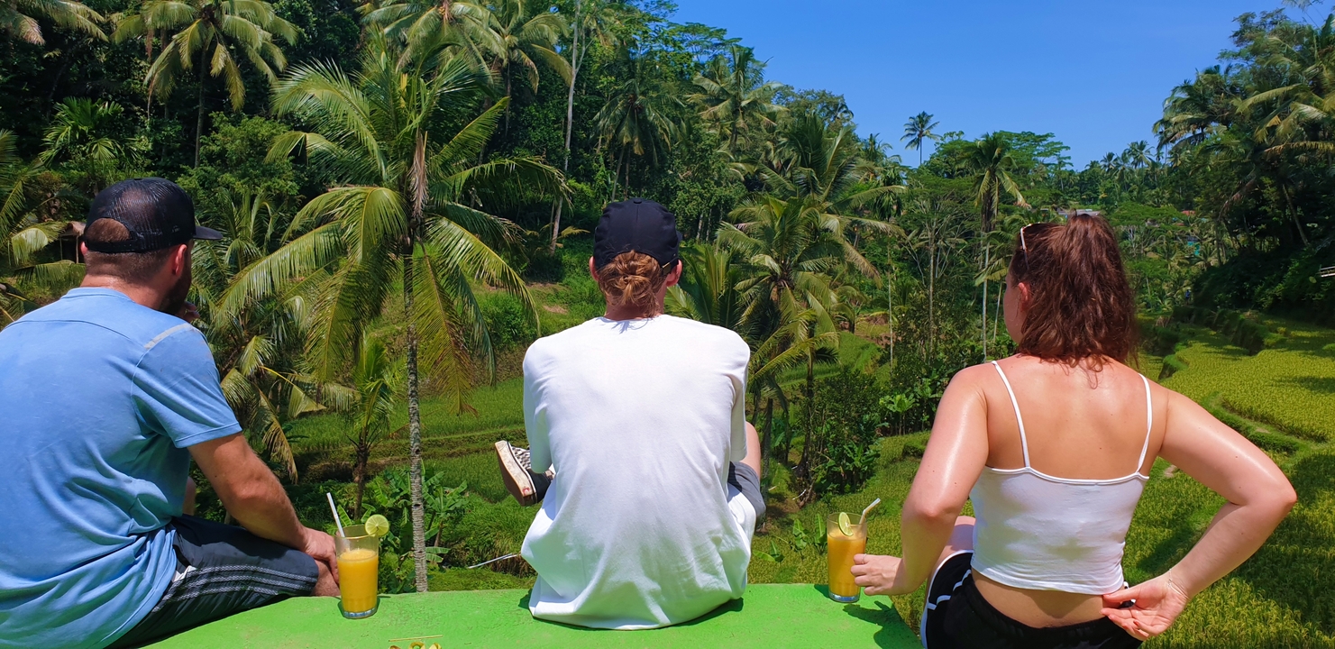 Three people sitting in a scenic viewpoint surrounded by lush greenery
