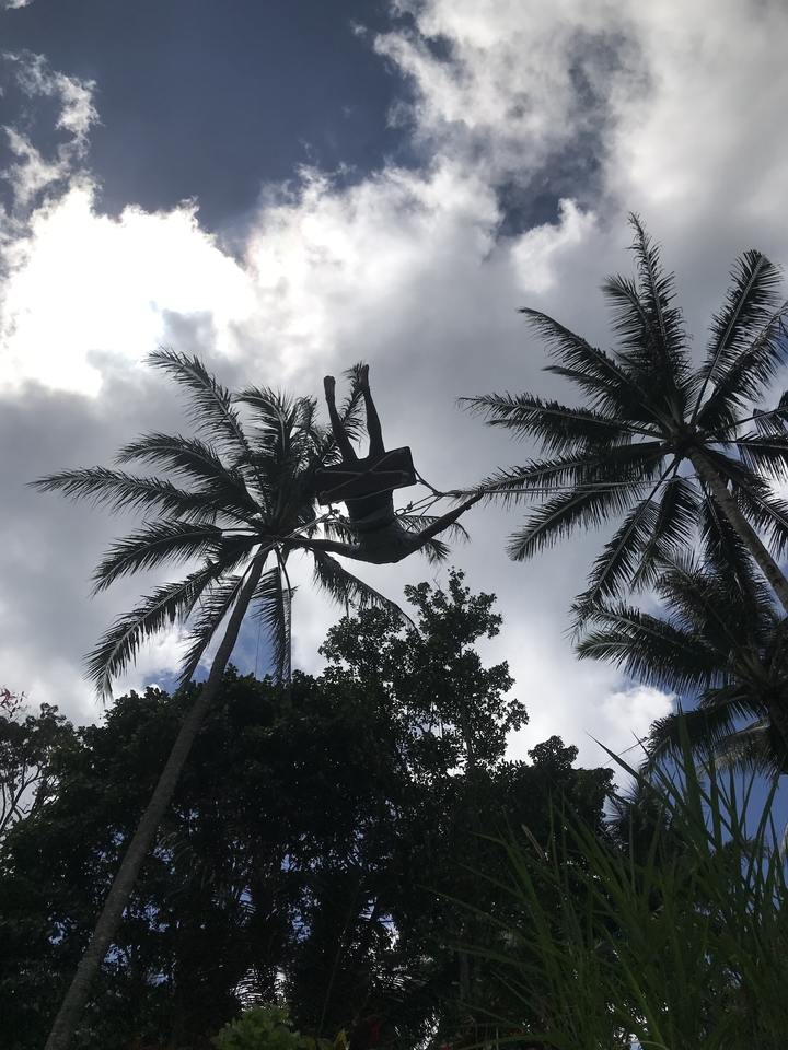 Person swinging between palm trees with cloudy sky.