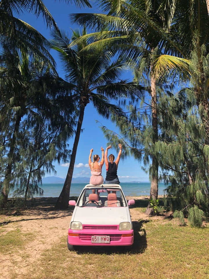 Two people standing on a vehicle decorated with palm trees.