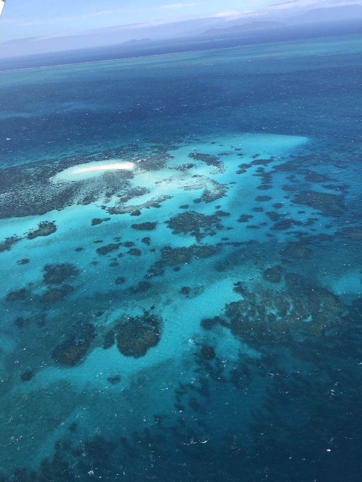 Arial view of a coral reef in ocean waters.
