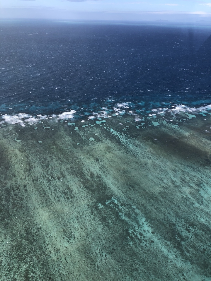 Aerial view of a coral reef in blue waters.