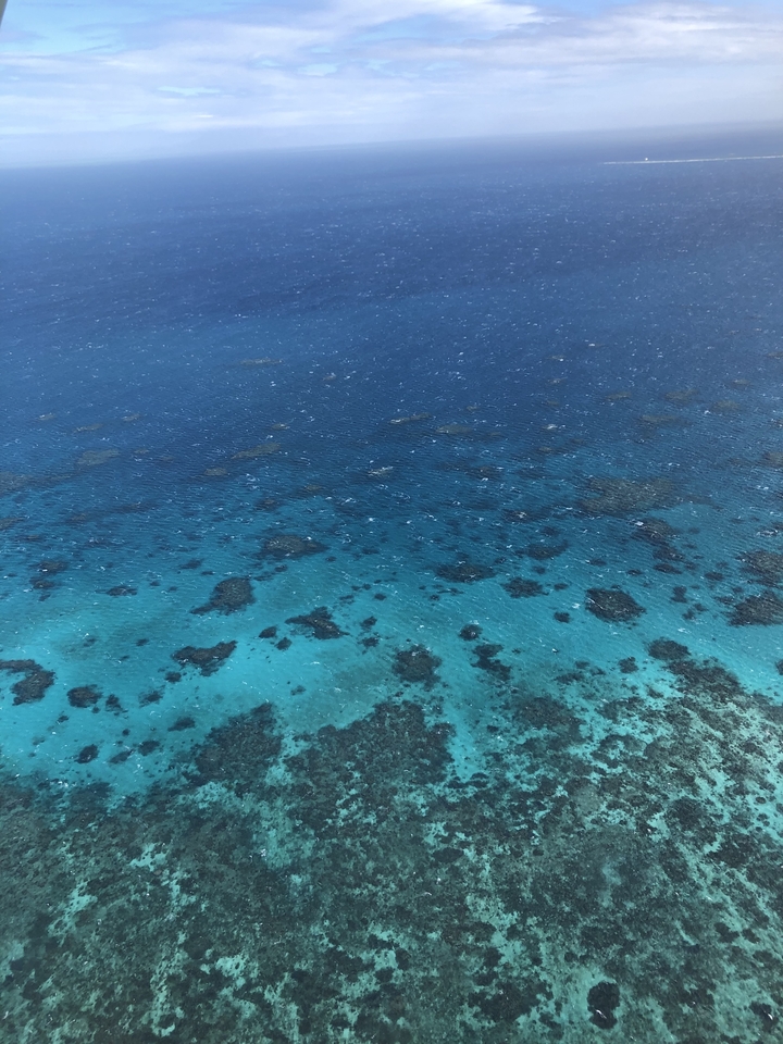 Aerial view of clear ocean waters with visible reef.
