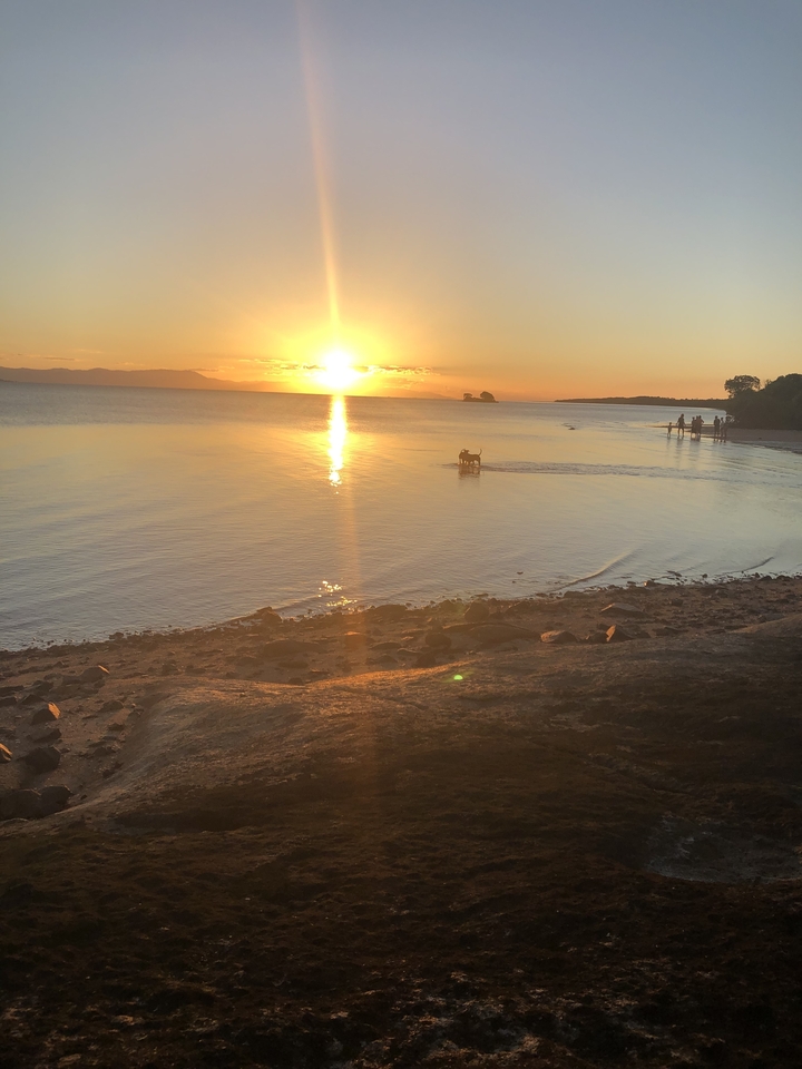 A beach at sunset with silhouettes of people and a dog.