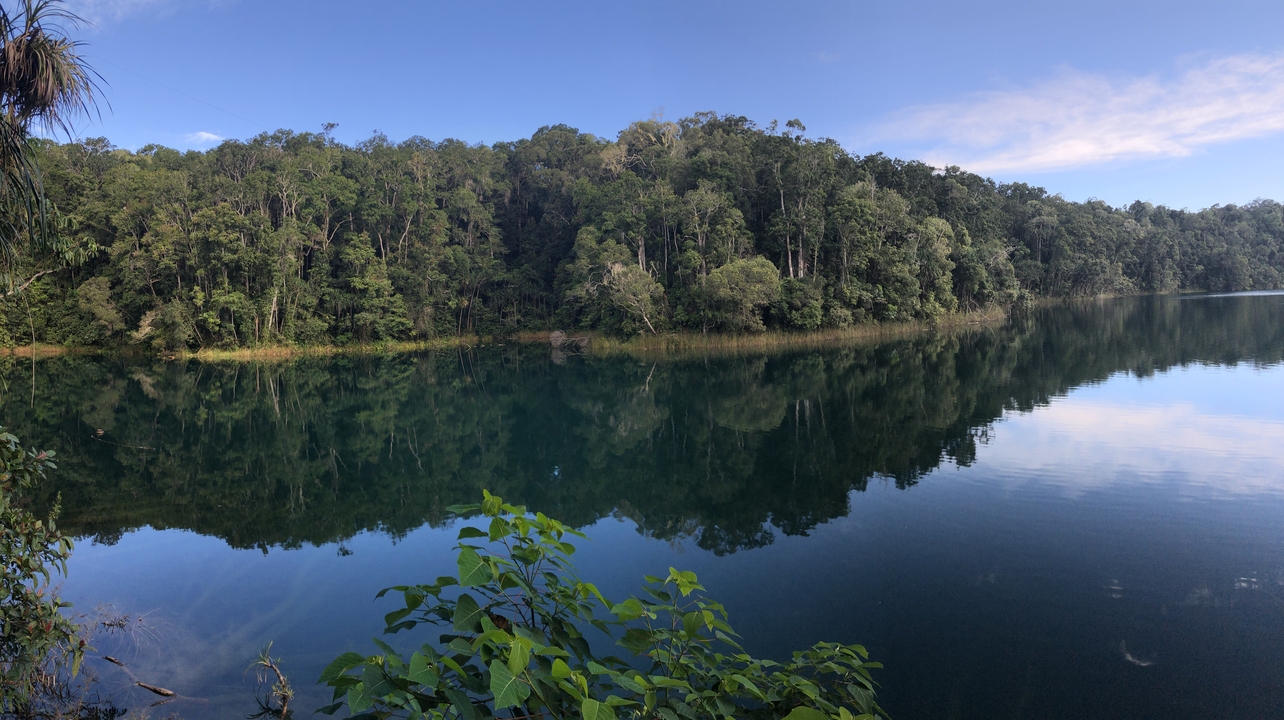 Lush greenery surrounding a calm lake reflecting the trees.