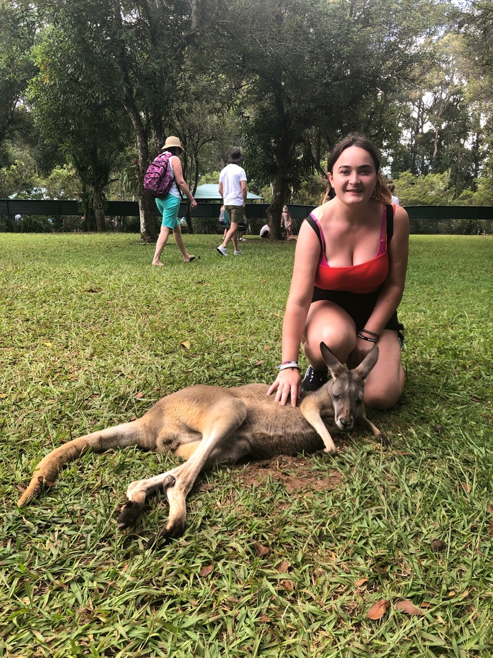 Person petting a kangaroo on a grass lawn.