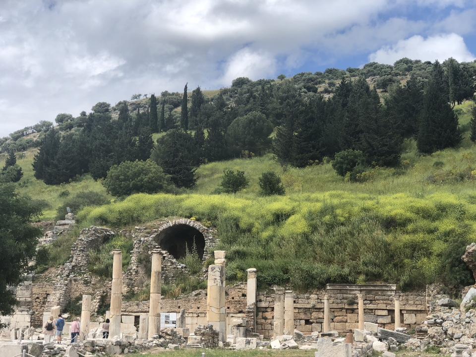 Ruines de colonnes antiques entourées de verdure.