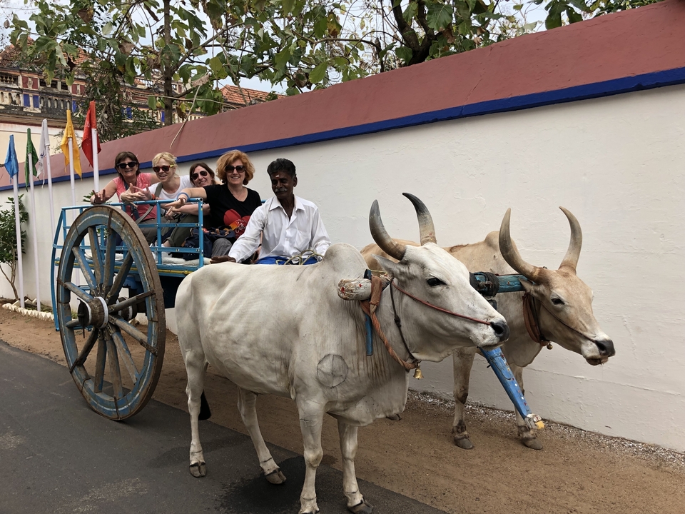 Des gens dans une charrette à bœufs sur une route.