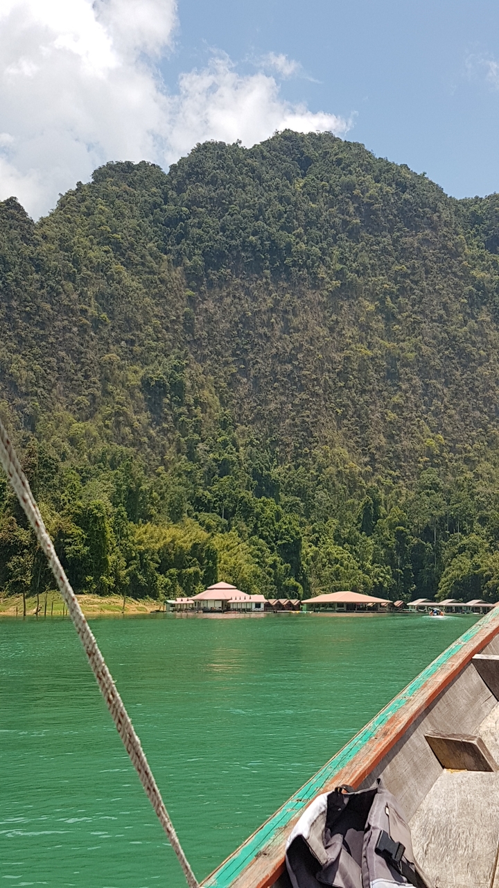 Forêt dense avec des collines rocheuses en arrière-plan.