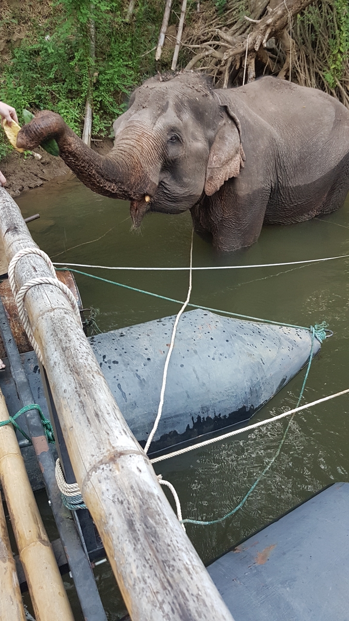 Vue rapprochée d'un bateau de rafting sur une rivière.